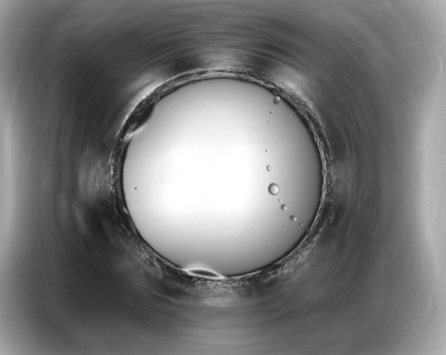 X0000087040875200704181213
