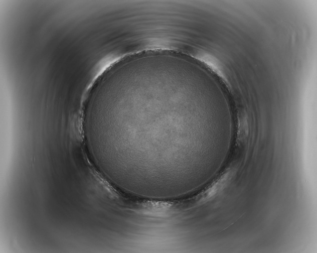 X0000087040878200704181213