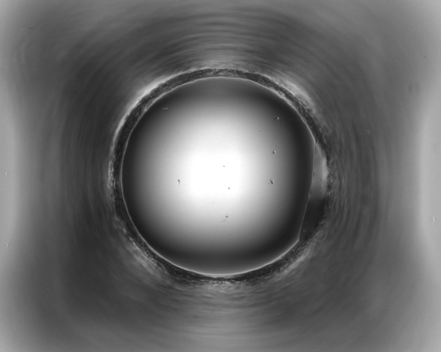 X0000087040880200704181213