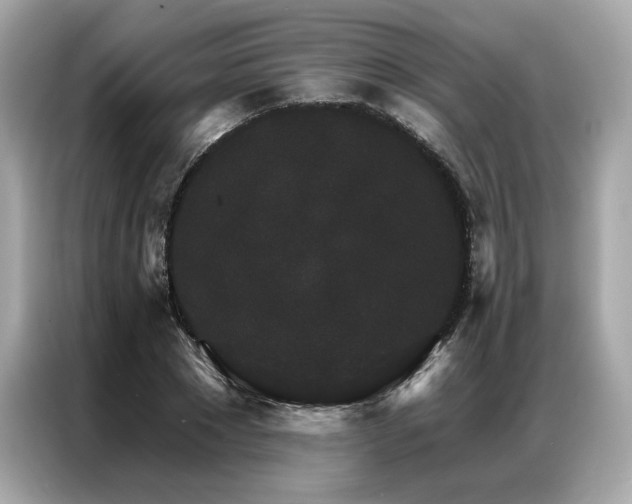 X0000087040881200704181213