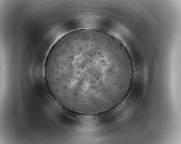 X0000087040883200704181213
