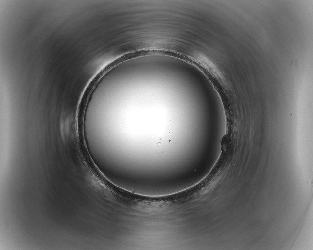 X0000087040884200704181213