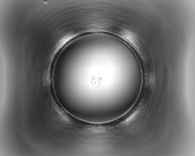 X0000087040885200704181213