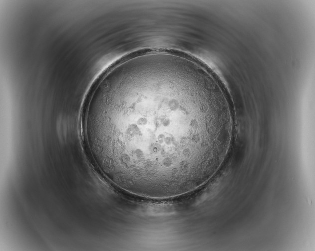X0000087040887200704181213