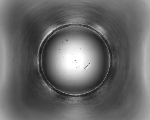 X0000087040888200704181213