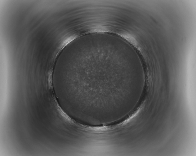 X0000087040889200704181213