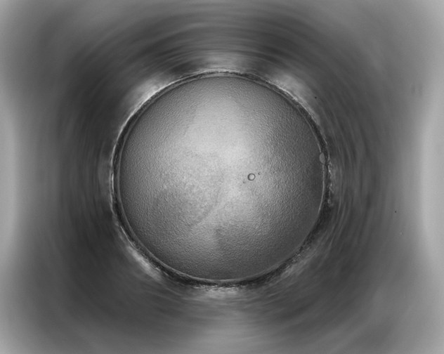 X0000087040890200704181213
