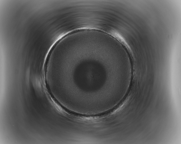 X0000087040892200704181213