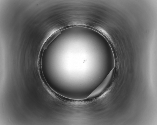 X0000087040893200704181213