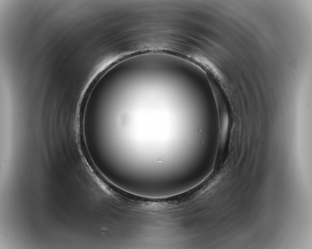 X0000087040894200704181213