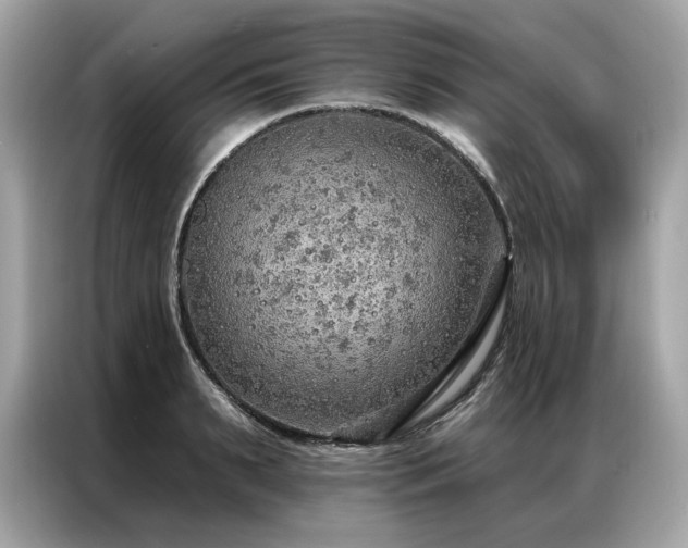 X0000087040895200704181213