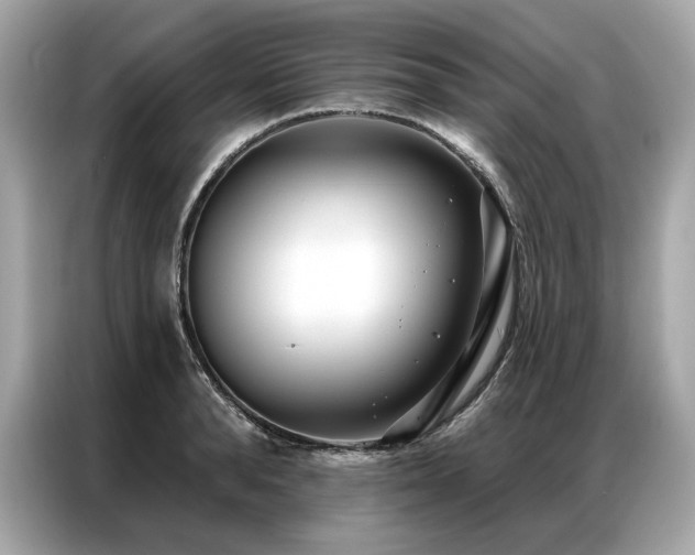 X0000087040896200704181213