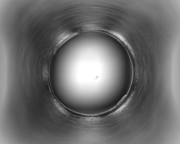 X0000087040897200704181213