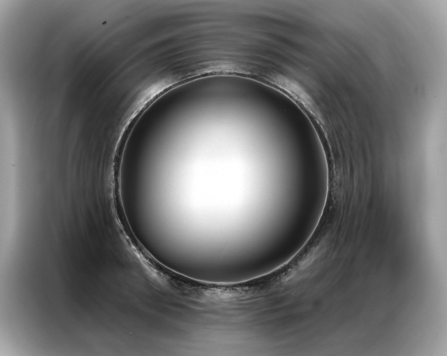 X0000087040898200704181213