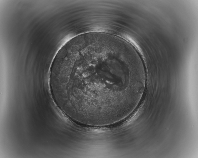 X0000087040899200704181213