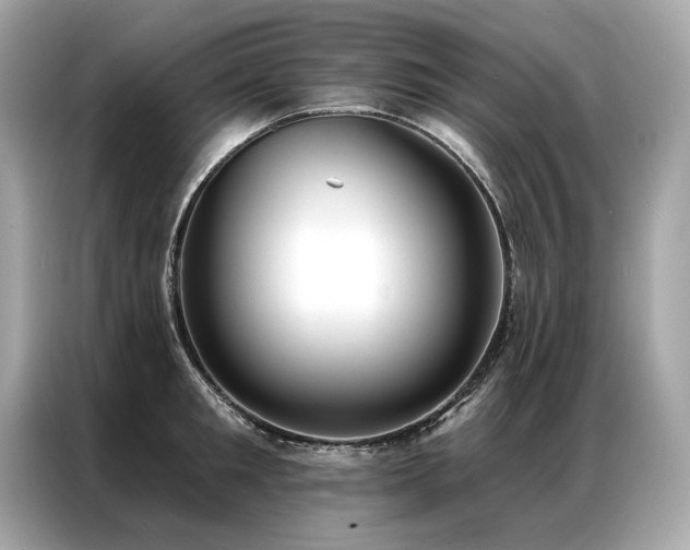 X0000087040901200704181213