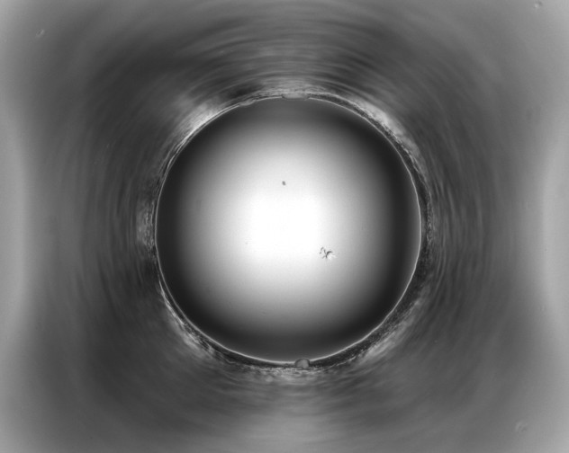 X0000087040905200704181213