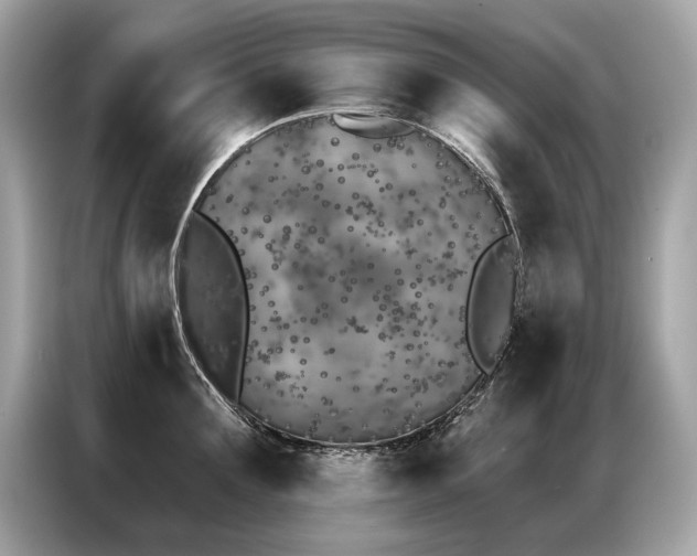 X0000087040907200704181213