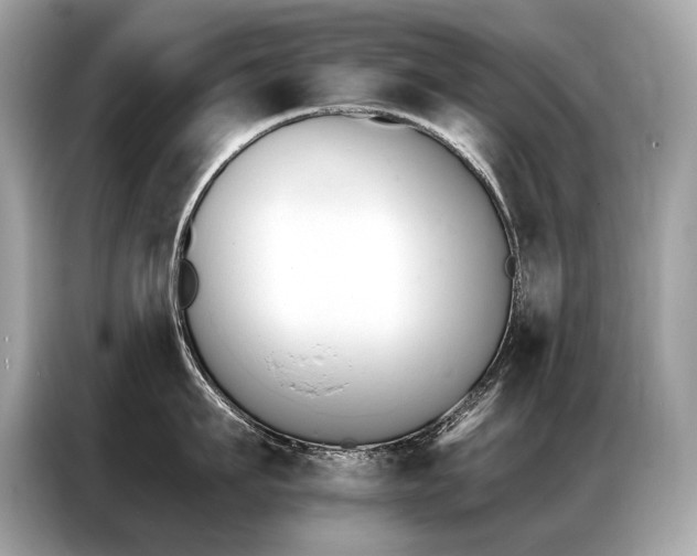 X0000087040911200704181213