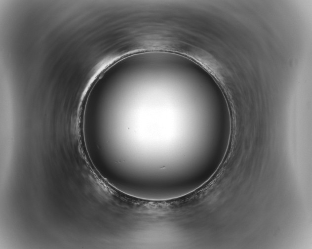 X0000087040912200704181213