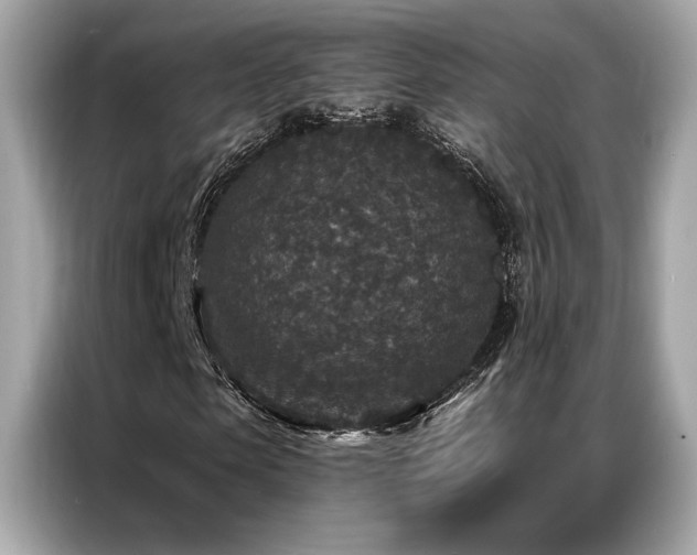 X0000087040913200704181212