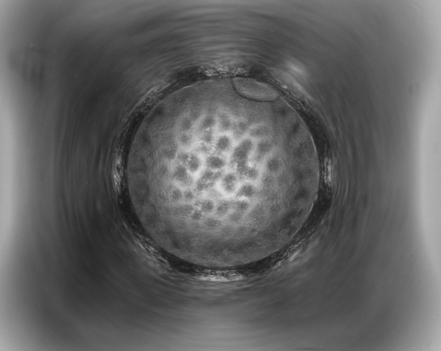 X0000087040915200704181212