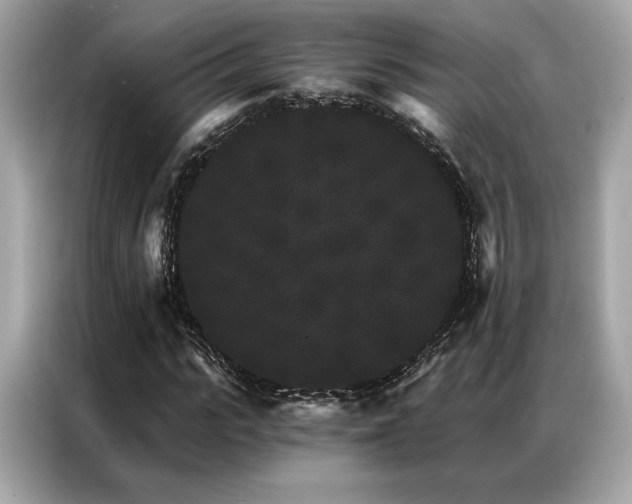 X0000087040919200704181212
