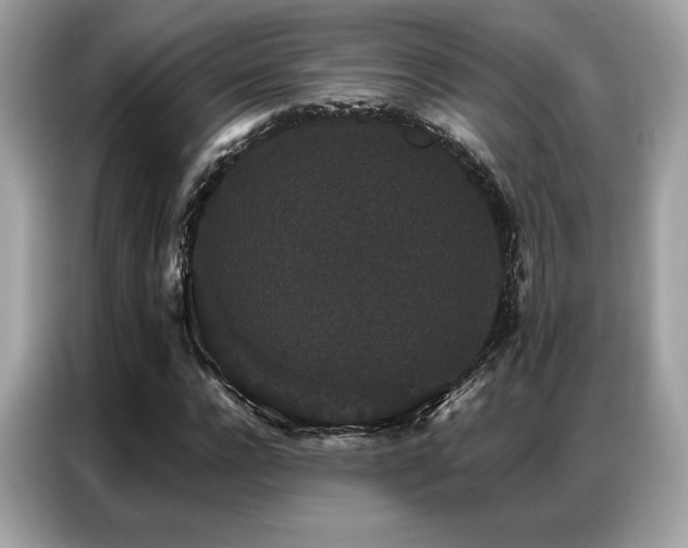 X0000087040920200704181212