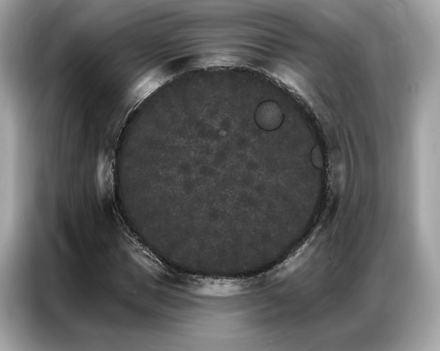 X0000087040921200704181212