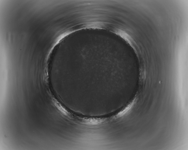 X0000087040923200704181212