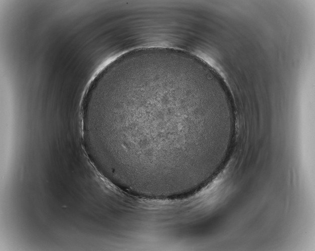 X0000087040925200704181212