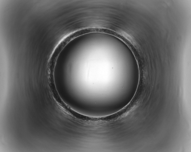 X0000087040926200704181212