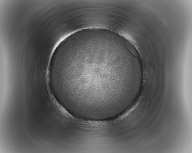 X0000087040928200704181212