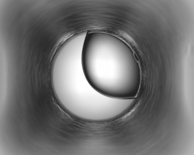 X0000087040930200704181212