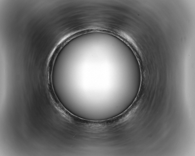 X0000087040931200704181212