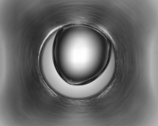 X0000087040932200704181212