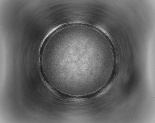 X0000087040933200704181212