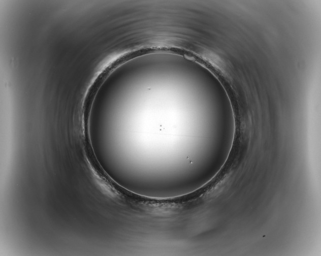 X0000087040934200704181212