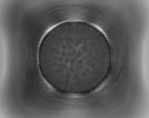 X0000087040935200704181212