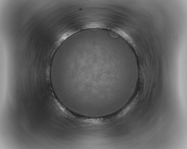 X0000087040937200704181212