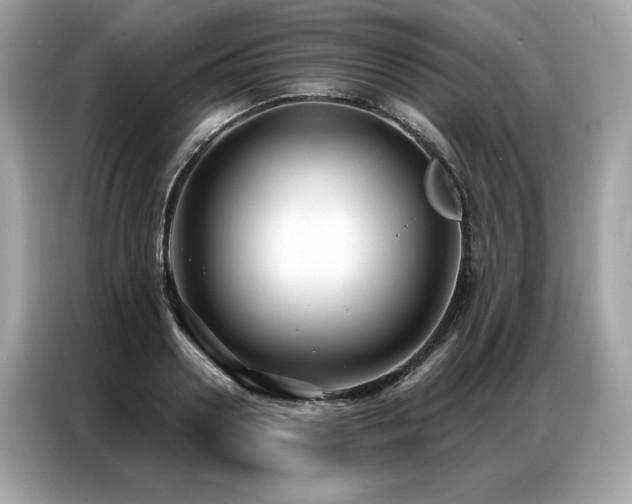 X0000087040938200704181212