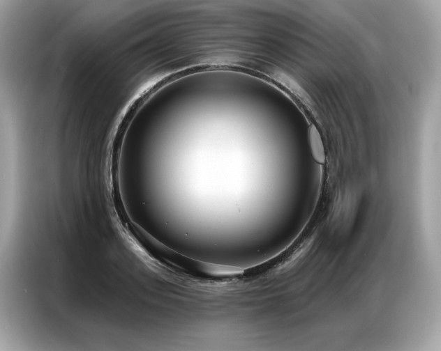 X0000087040939200704181212