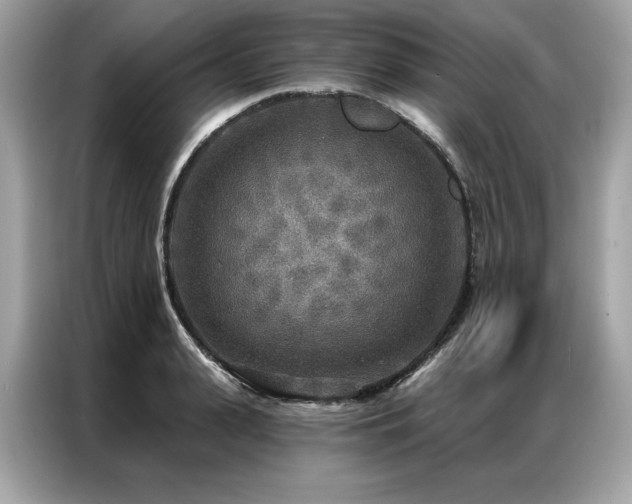 X0000087040943200704181212