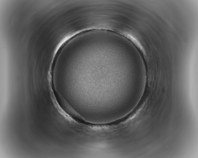 X0000087040944200704181212