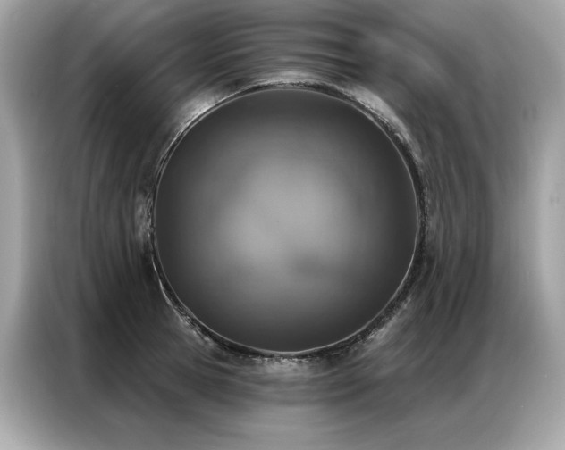 X0000087040945200704181212