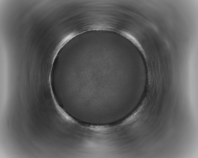 X0000087040946200704181212