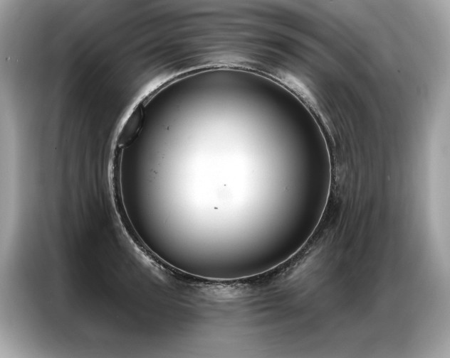 X0000087040947200704181212