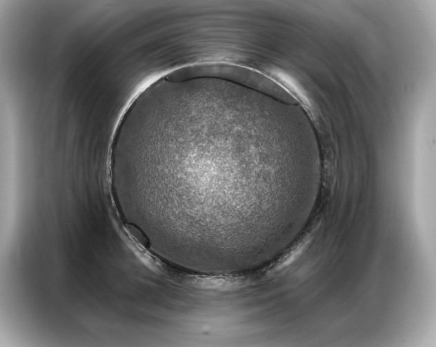 X0000087040948200704181212