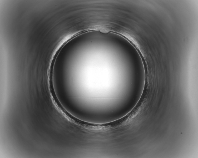 X0000087040949200704181212