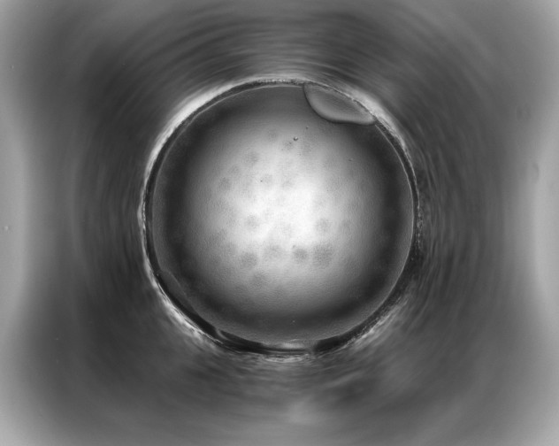 X0000087040951200704181213